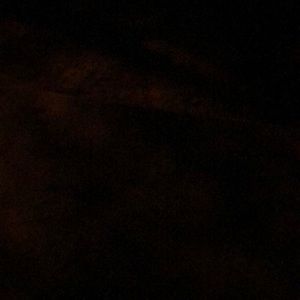 Meet your Posher, Gilbert